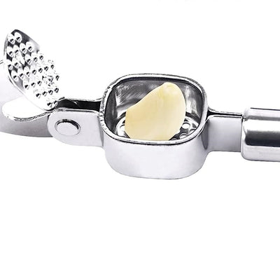 Garlic and ginger press, stainless steel, silver, 19 cm