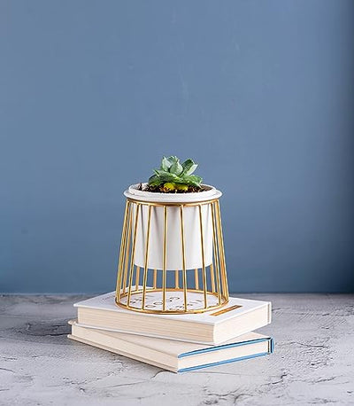 Decorative ceramic vase with a gold metal stand in a geometric shape