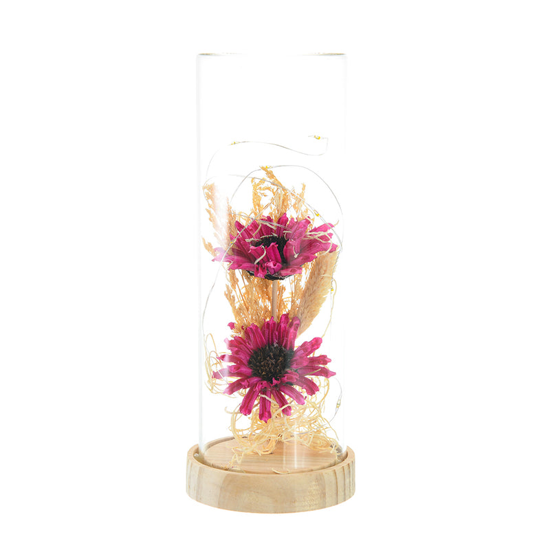 Long glass LED lamp - fuchsia rose