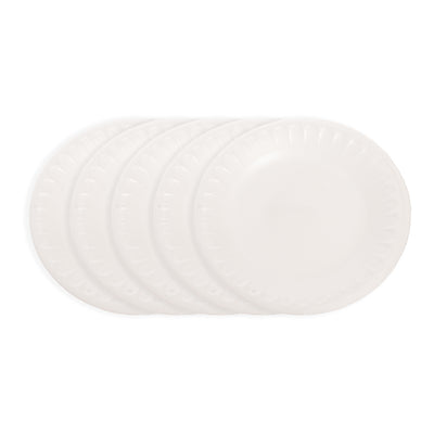 A set of round white foam plates for all occasions, 5×1