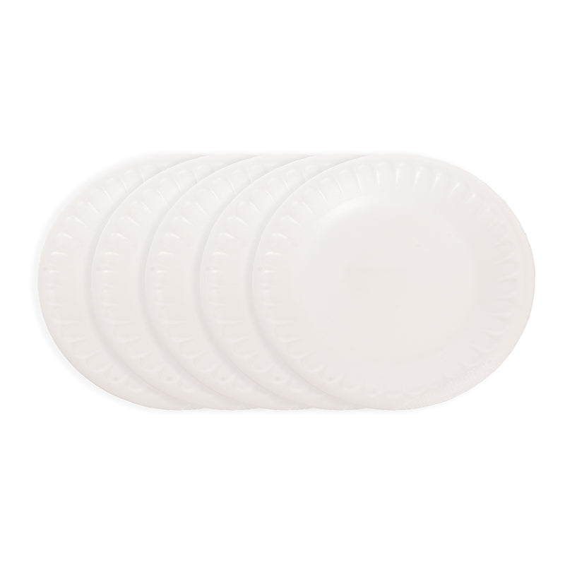 A set of round white foam plates for all occasions, 5×1