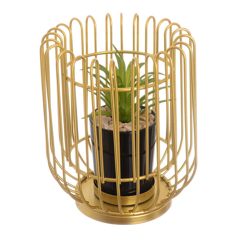 Decorative plant with a gold metal stand, 14 cm