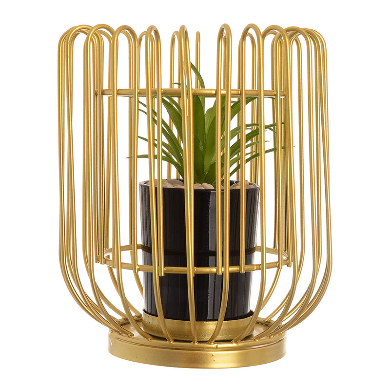 Decorative plant with a gold metal stand, 14 cm